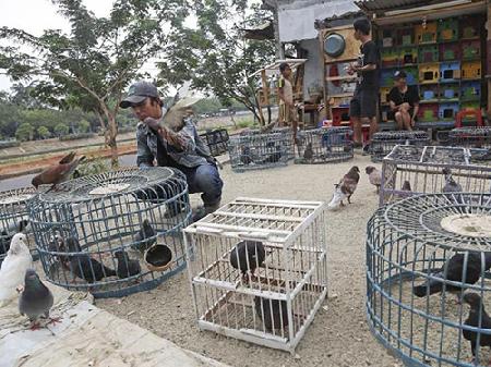 Châu Á: Tiền mang lại hạnh phúc