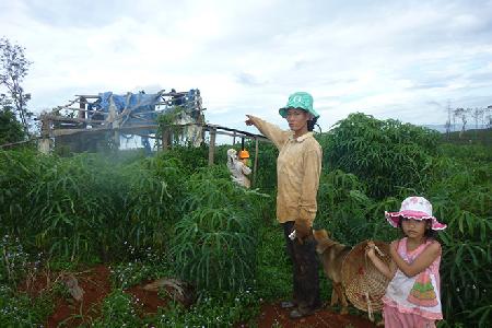 Đắc Nông: Hàng loạt sai phạm trong giao đất, giao rừng